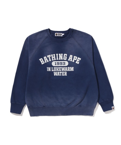 DESTROY WASHED EFFECT RELAXED FIT CREWNECK SWEATSHIRT（スウェット
