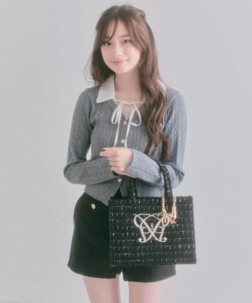 タブレット対応/推し活】Aimerianejoie刺繍入りミニトート（トート