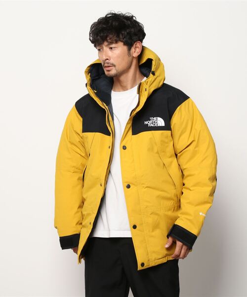 THE NORTH FACE（ザノースフェイス）の「THE NORTH FACE MOUNTAIN DOWN
