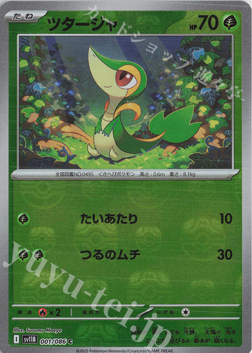 C ツタージャ(マスターボール柄/ミラー仕様) 販売 | [SV11B] 拡張