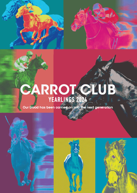 2024年度 募集馬カタログ・動画 ｜ キャロットクラブ