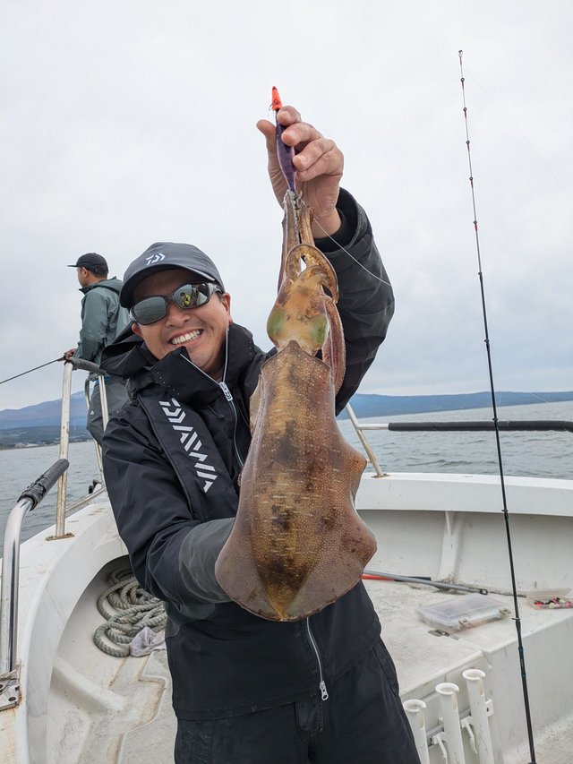 ダイワ エギングロッド エメラルダス AIR BOAT 511MLS-S・K