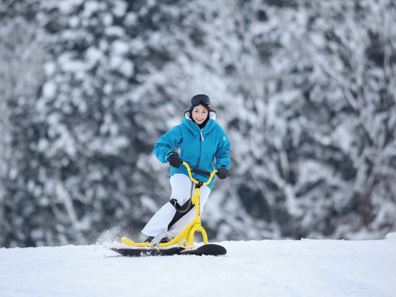 スノースクート体験】雪山でどきどき！スノースクート体験 ☆親子で雪