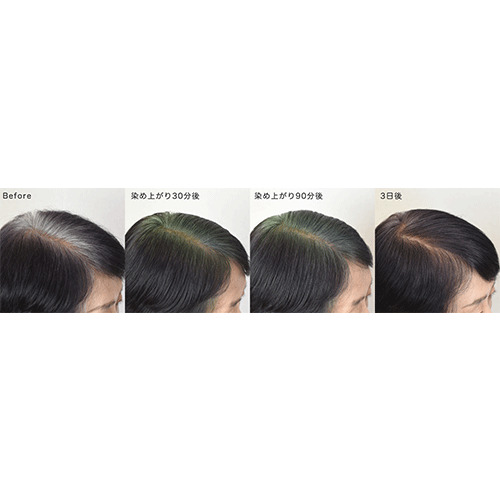 ナイアード ヘナ＋木藍 100g 黒｜【ハンズネットストア】