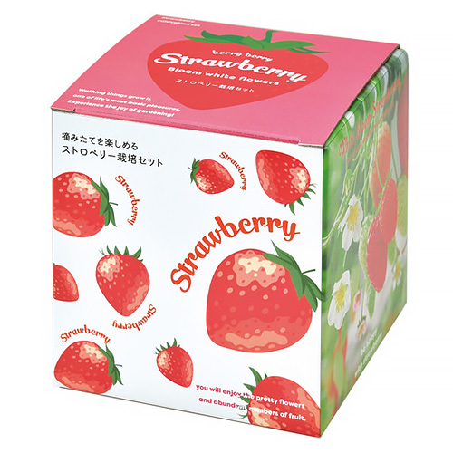 ⭐アメリカンカントリー雑貨♥️りんご∗ハート∗いちごのミニ