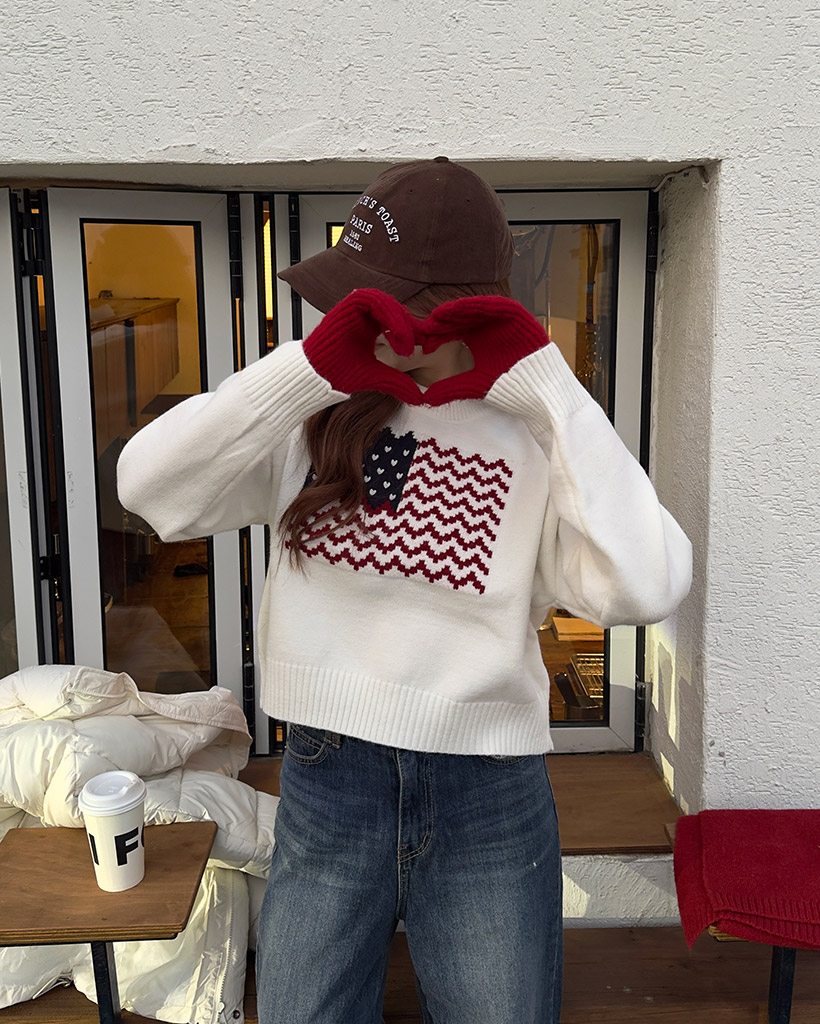 アメリカ国旗ラウンドネックニット | ファッション通販サイト NUGU