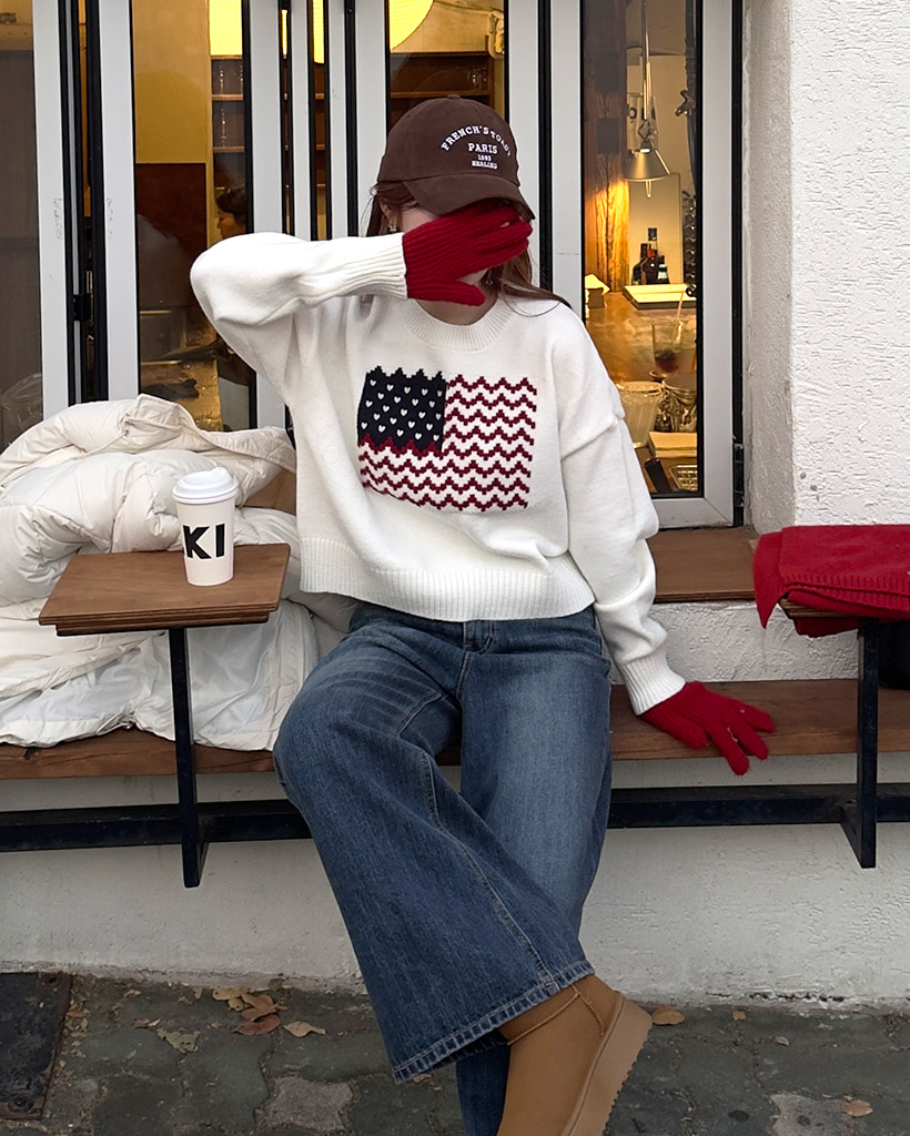 アメリカ国旗ラウンドネックニット | ファッション通販サイト NUGU