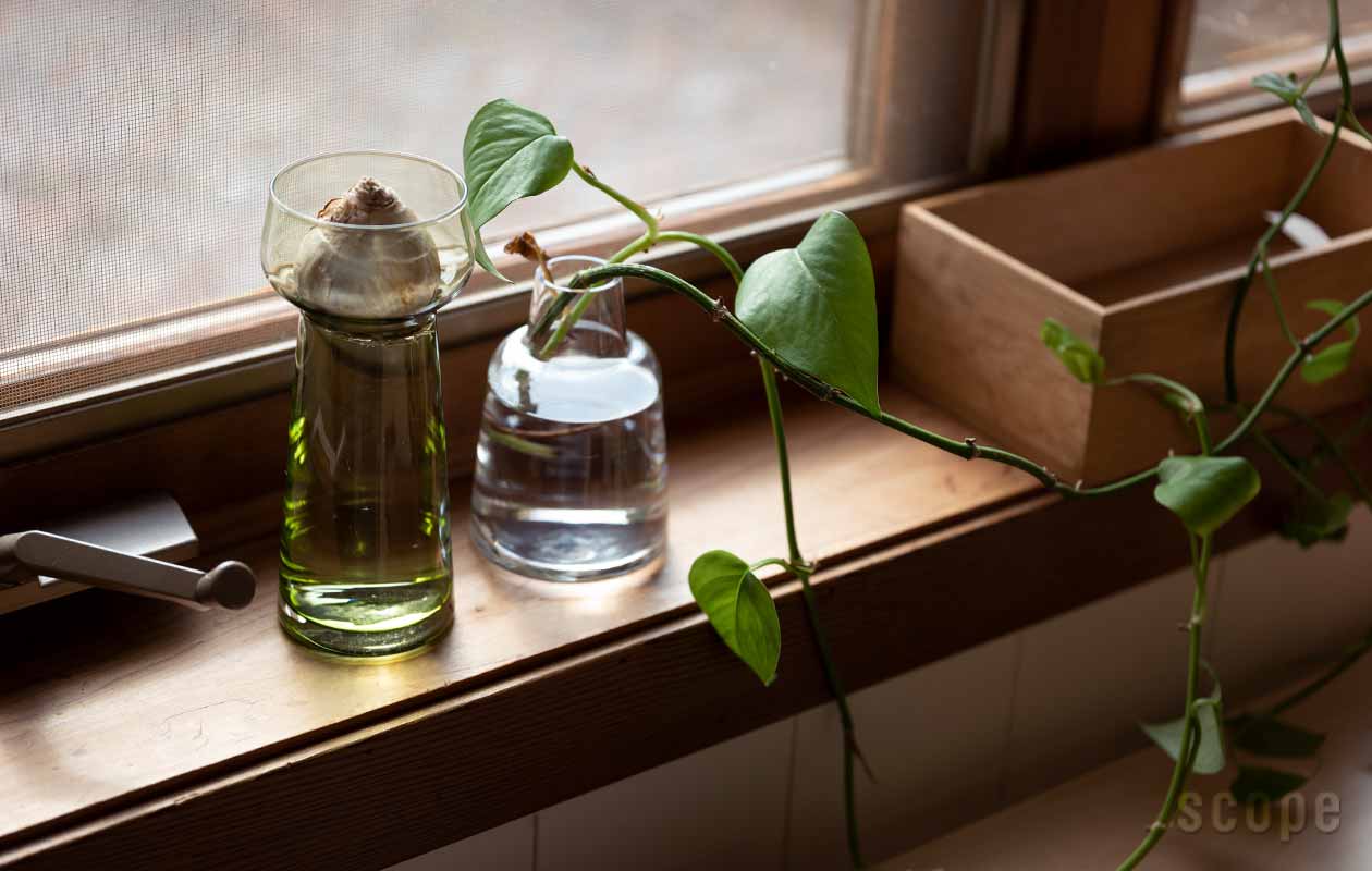 販売終了】Celebrate | Holmegaard (ホルムガード)