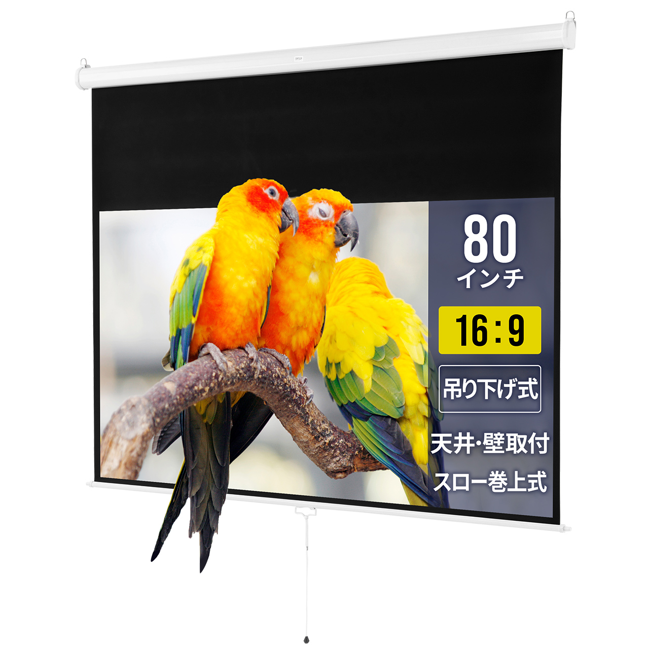 サンワダイレクト本店 サンワサプライ【オフィス・PC周辺通販】