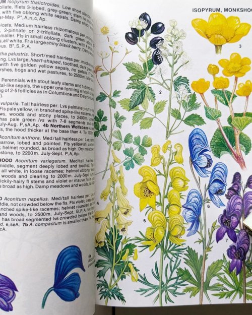 台湾 イギリスおよびヨーロッパのアルプス植物図鑑/古書/図鑑/花藝