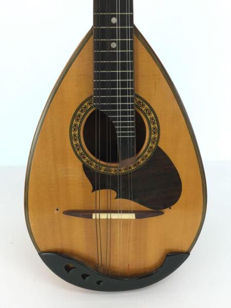 鈴木ﾊﾞｲｵﾘﾝ(スズキバイオリン) / M-210 鈴木バイオリン/マンドリン/M