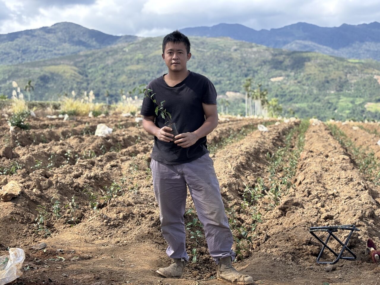 花蓮農產征服美食界奧斯卡！蜜香紅茶獲三星殊榮、苦茶油與甜點也上榜