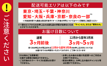 電動自転車 ラクット 20インチ ルビーレッド | 自転車 アシスト