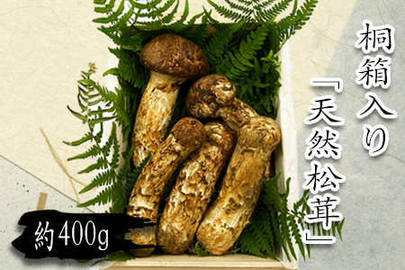 2026年発送】山形県産「天然松茸（まつたけ）」約400g(桐箱入)_H086(R8