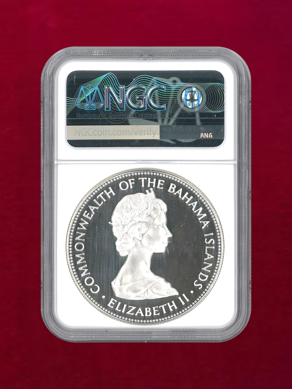 重さ3.5キロ以上の海外(外国)硬貨とおまけ付き(銀貨のおまけ) 2026年