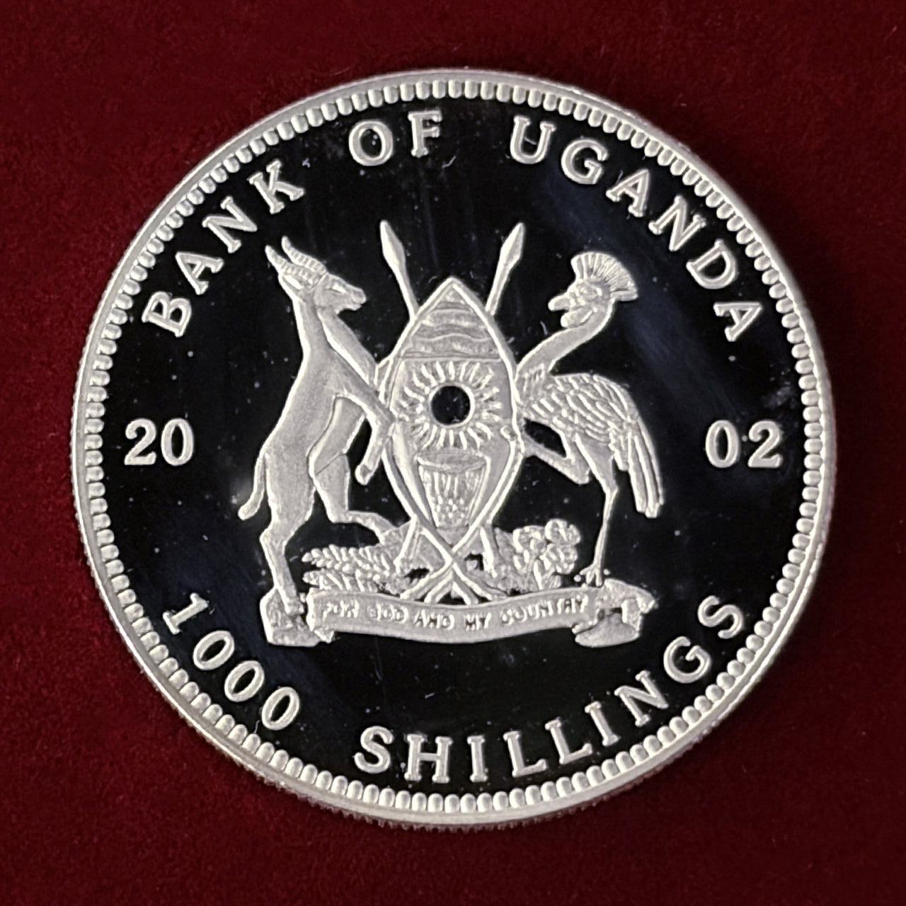 ウガンダ】海の生き物 黄色と黒の縞模様の魚 1000シリング プルーフ