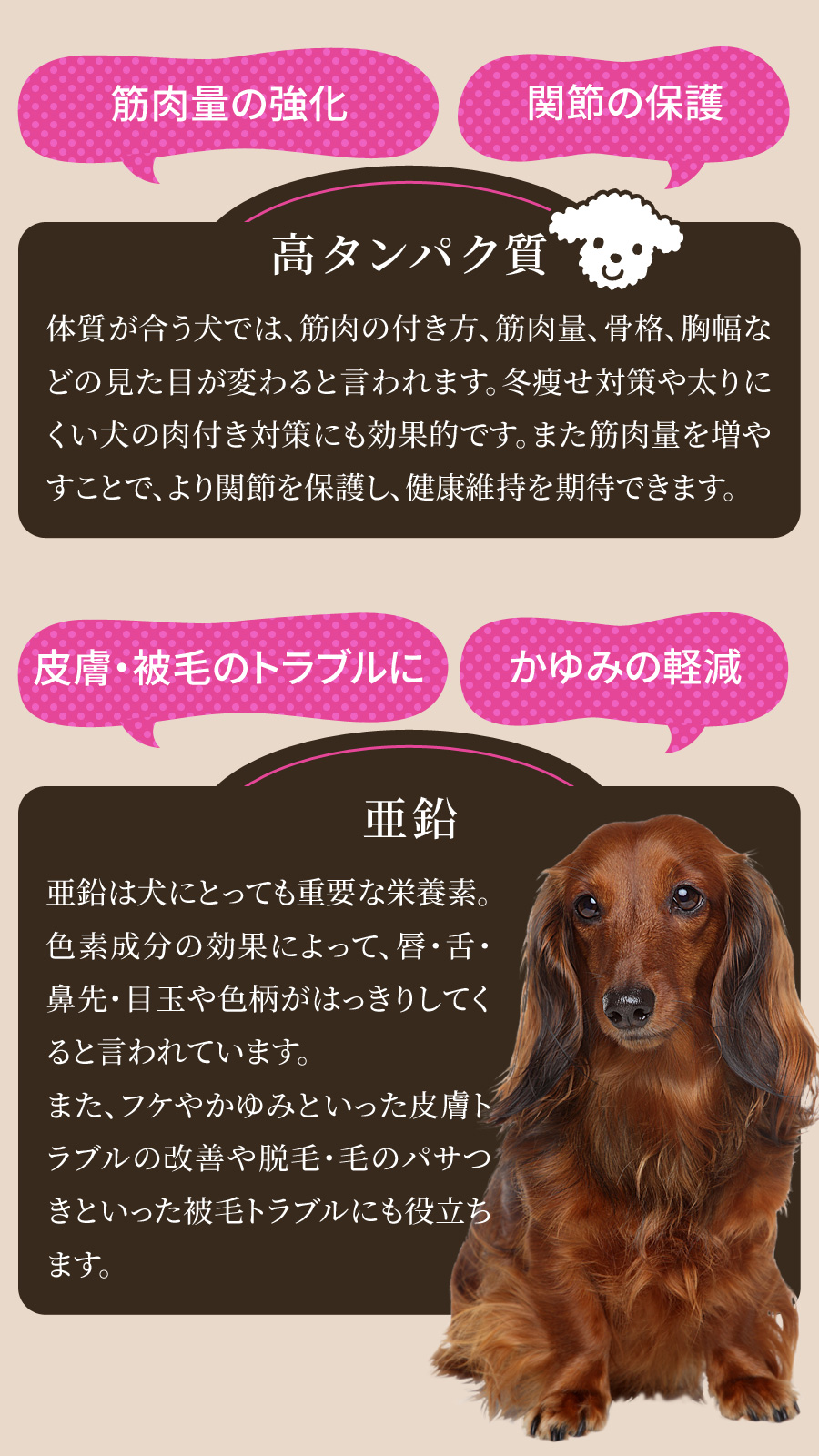 ブラックウッド5000は、離乳期から使えるオールライフフード