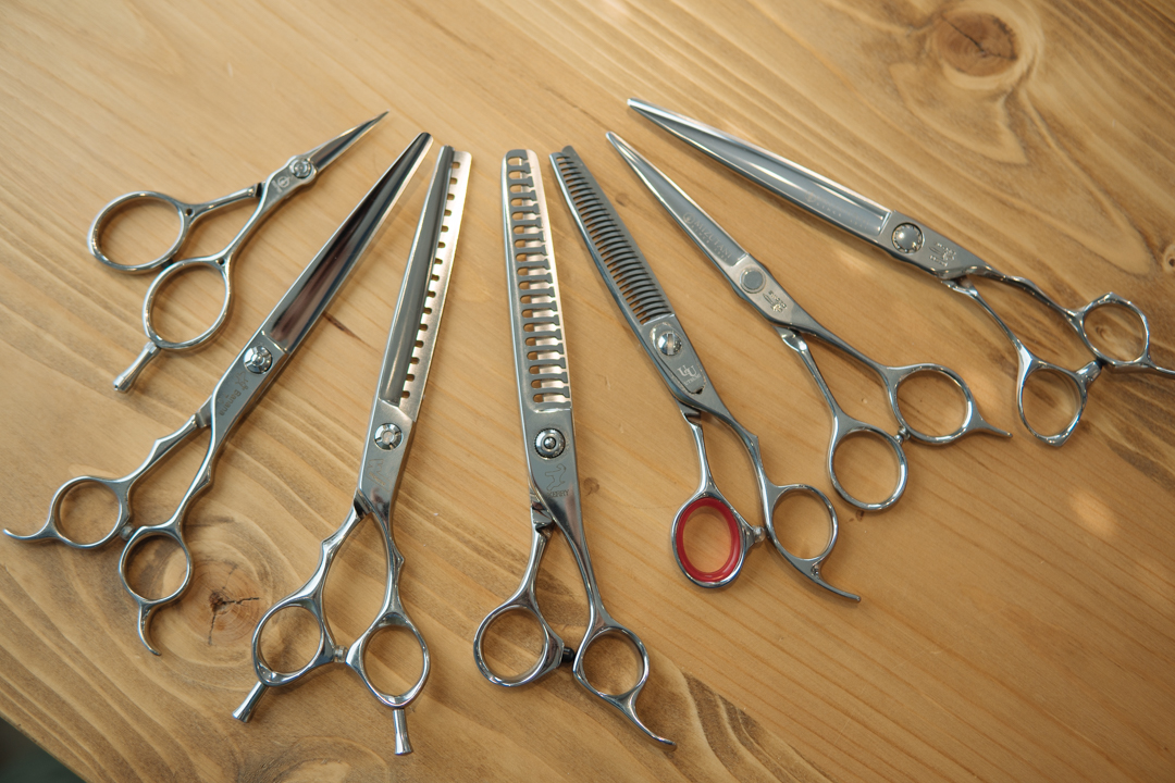 こだわりトリマーkatoが愛用しているトリミングシザー｜TRIMGRAPH