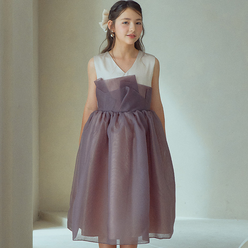 dress2.jpg?v=1759307305&width=1000