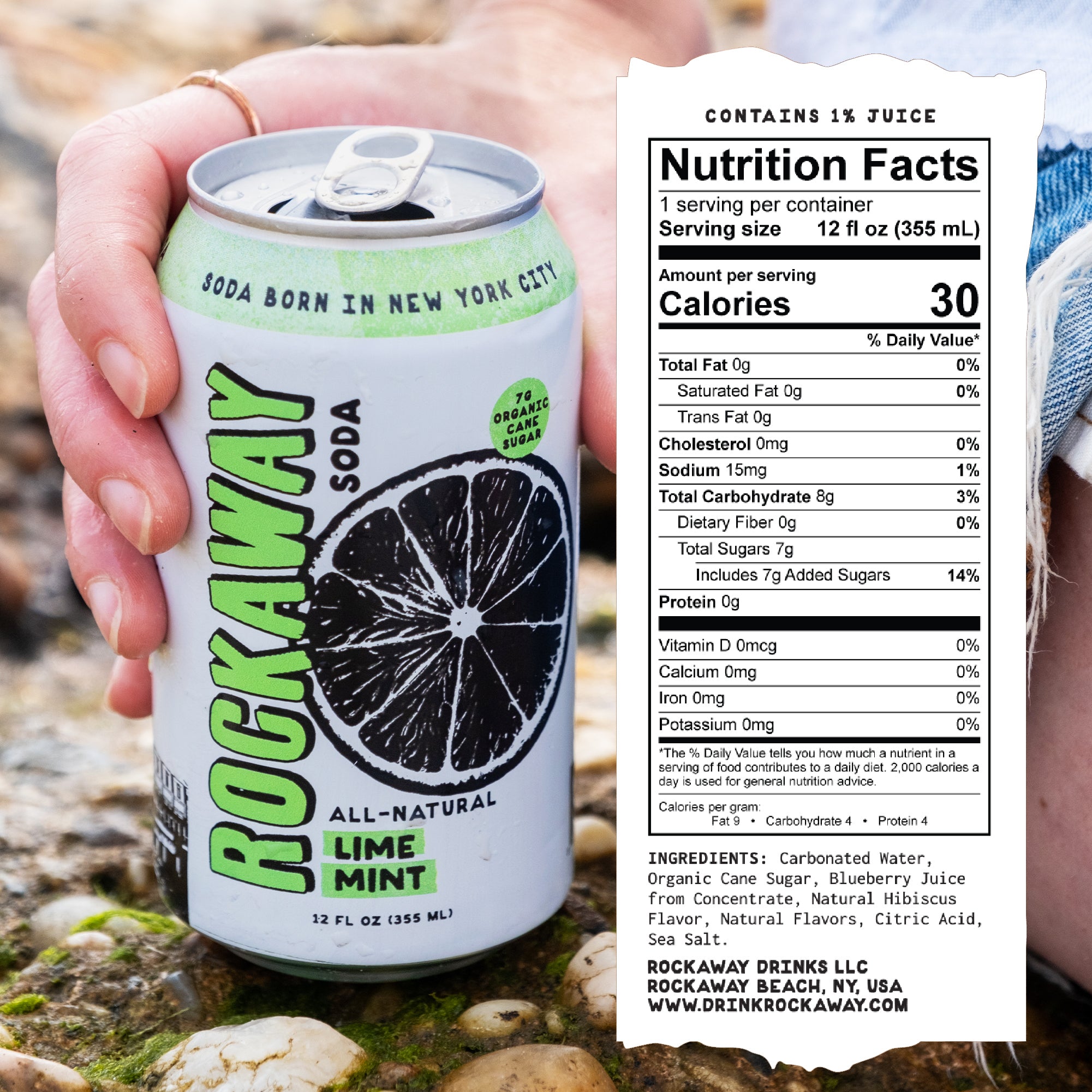 Lemon - Lemongrass| Plant Powered Soda | Rockaway – ROCKAWAY Soda