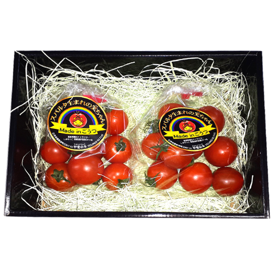 商品一覧 | 農業（トマト）で就労支援 アグリプラント甲斐の木