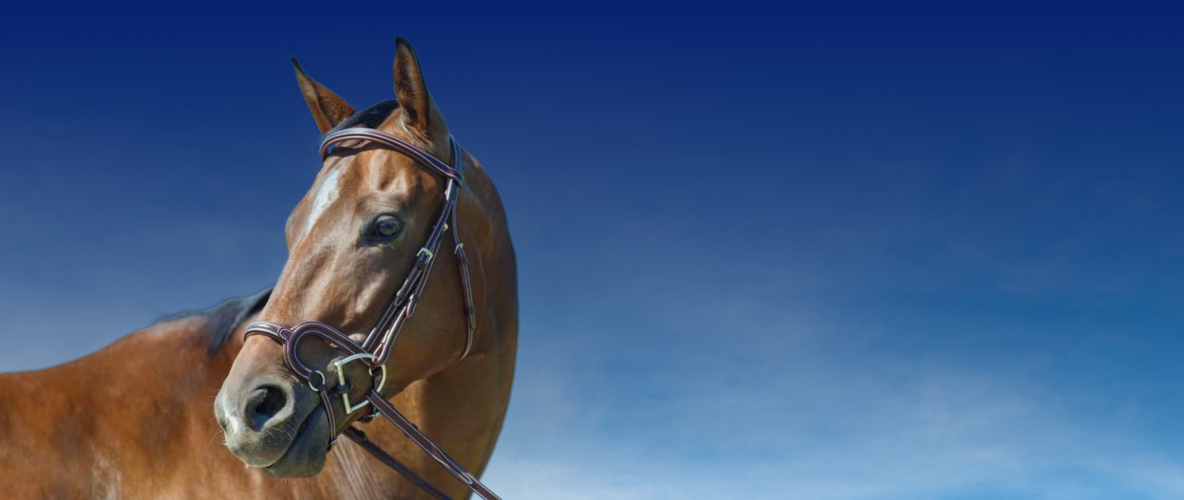 Silver Crown H Classique