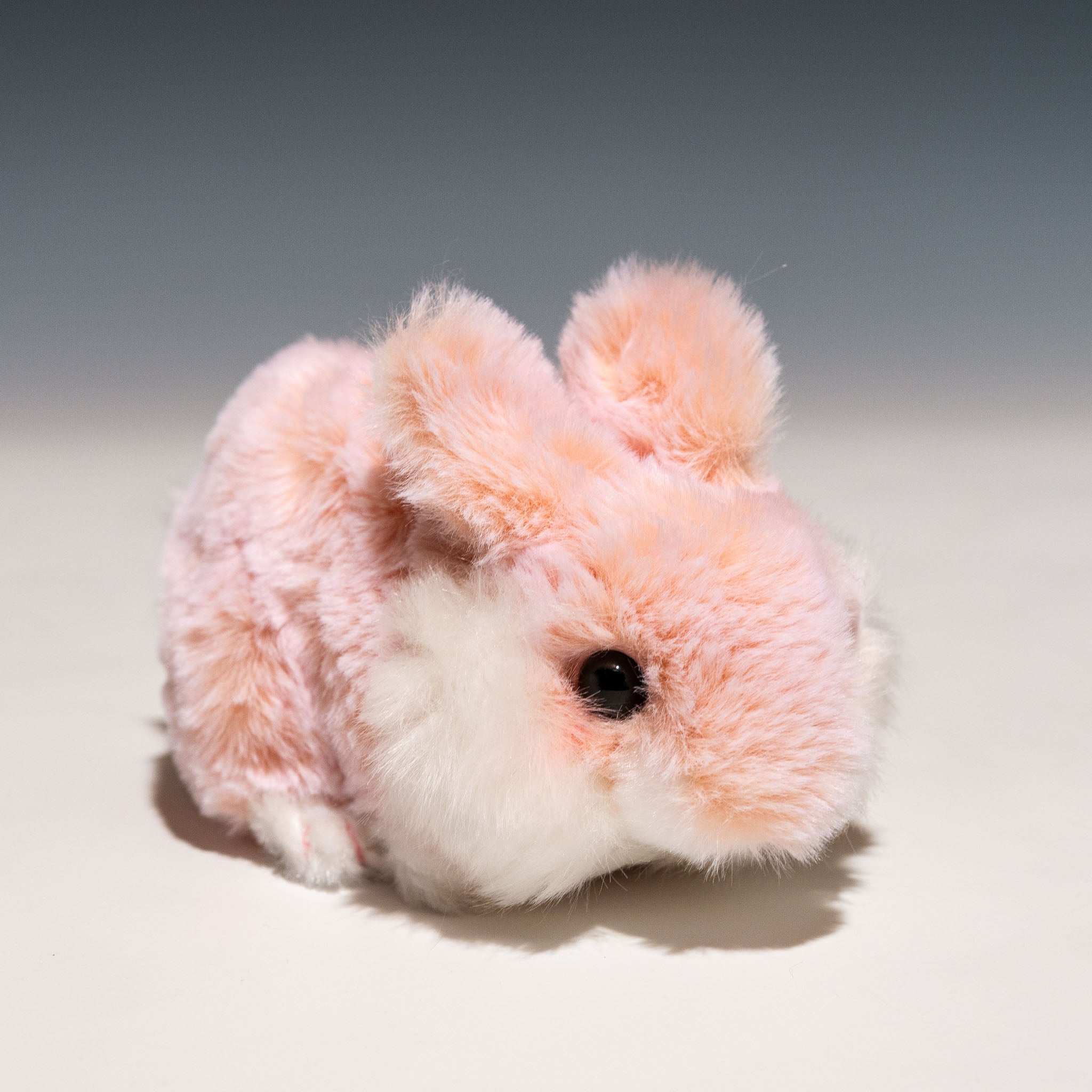 CUTE キュート販売 ぬいぐるみ ふわふわうさぎ S 這い うすピンク