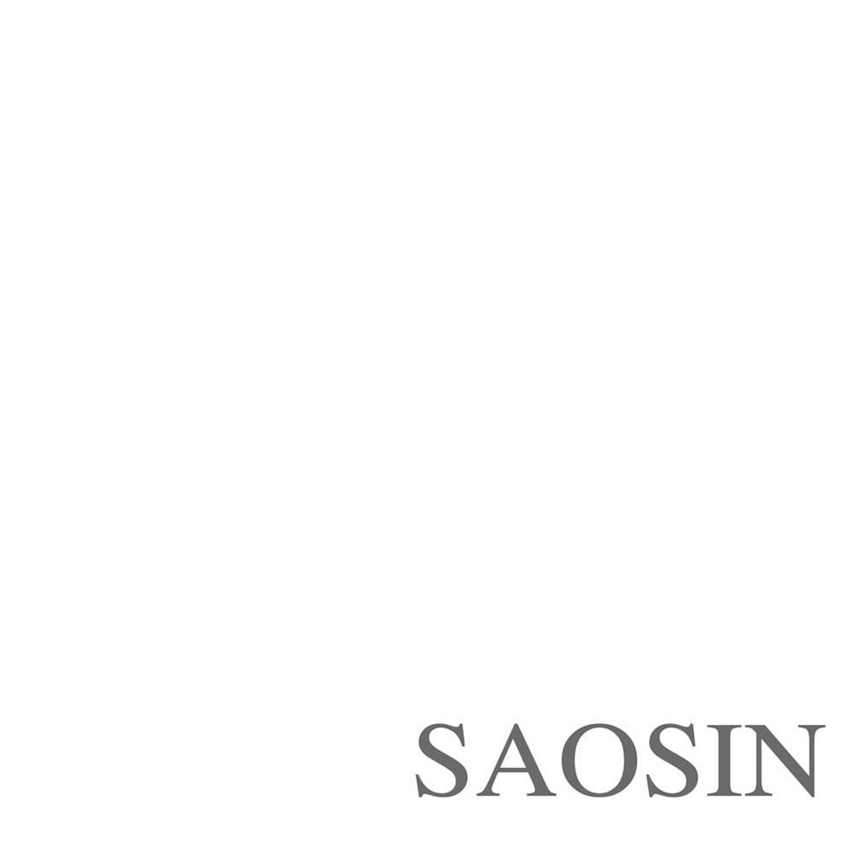 Translating The Name | Saosin | Born Losers Records