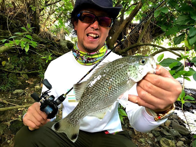 CANARIA C48UL(カナリア48・ベイト) - Fin‐ch