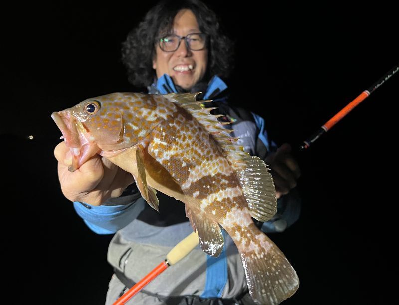 CANARIA COCO77(カナリア ココ77) - Fin‐ch