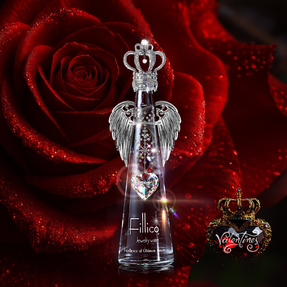 2026 NEW YEAR COLLECTION – FILLICO ONLINE SHOP