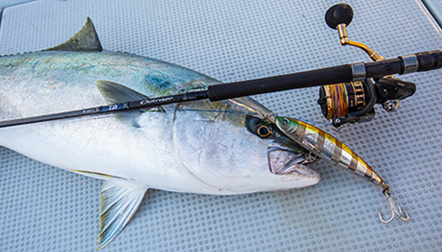 23BG SWは2023年新登場のフルメタルボディ採用スピニングリール