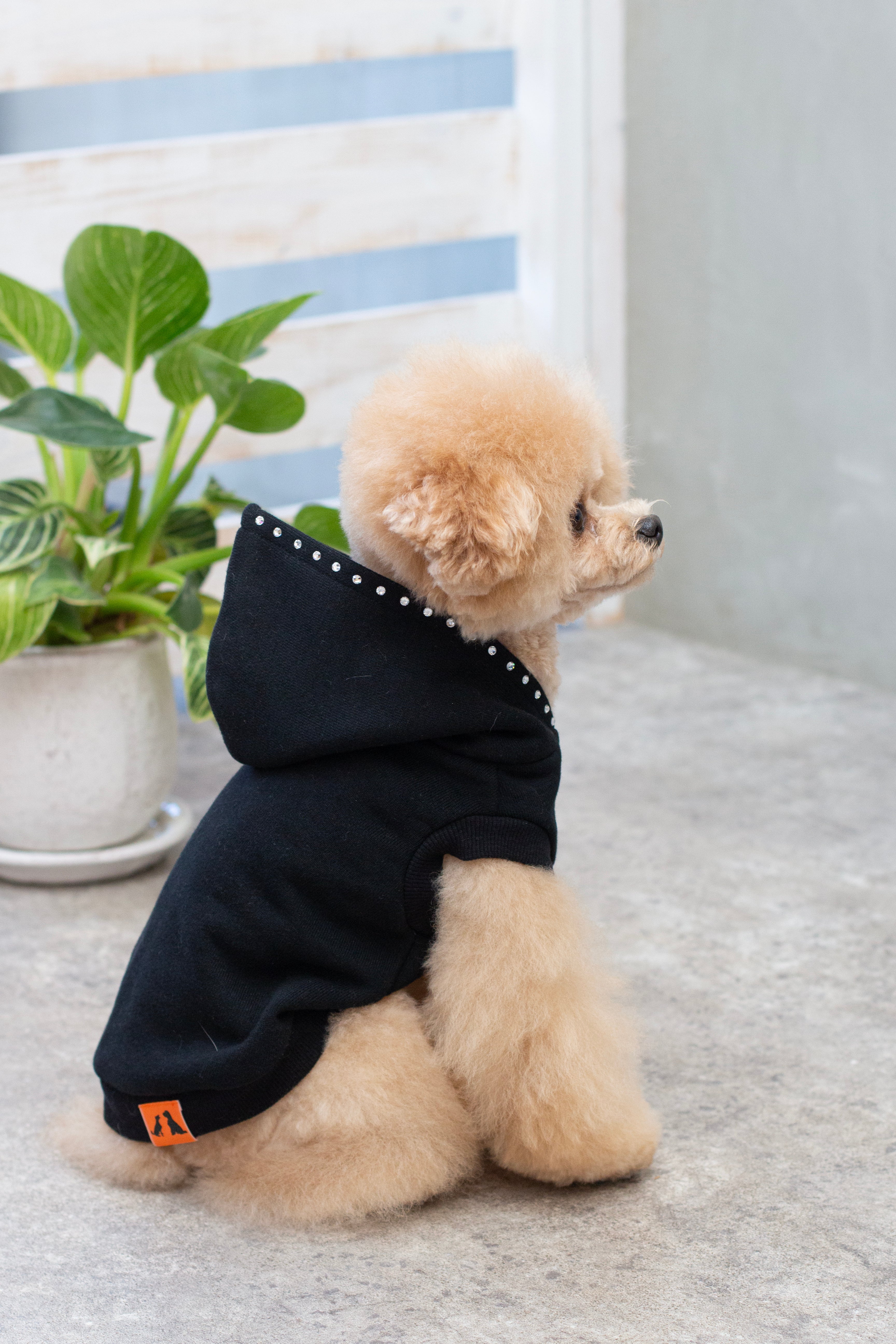 IMG_7394.jpg?v=1694074206&